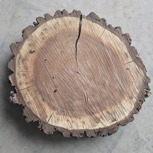 Raw Wood Rounds
